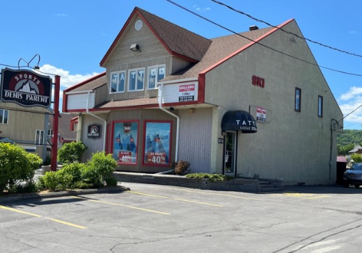 Propriété commerciale à vendre - 217 Chemin du Lac-Millette, Saint-Sauveur, J0R1R3