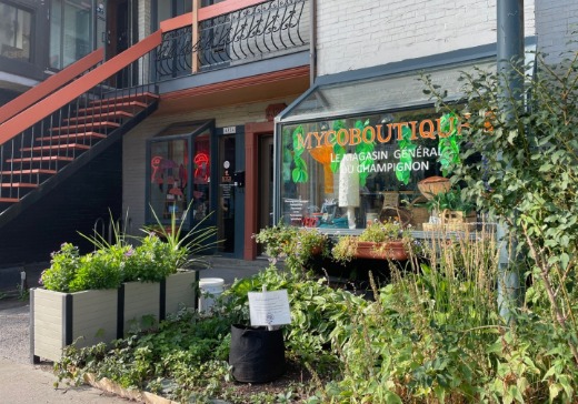 Commercial Property for sale - 4320Z -4324Z Rue St-Denis, Montreal (Plateau-Mont-Royal), H2J2K8