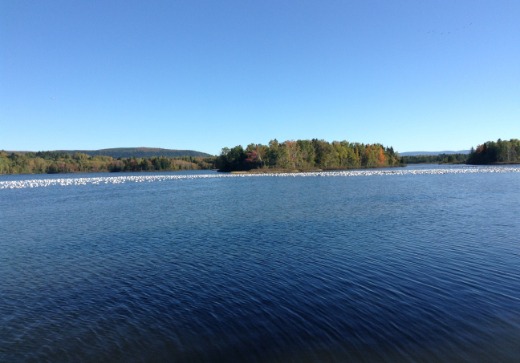 Propriété commerciale à vendre - 1 Rimouski, Rimouski, G5L1P7