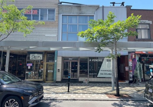 Commercial Property for sale - 6982 - 6984, Rue Saint-Hubert, Montreal (Rosemont–La Petite-Patrie), H2S2M9