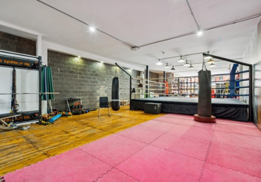Commercial Condo for Sale - 2127 Rue Bélanger, Montreal (Villeray), H2G 1C3