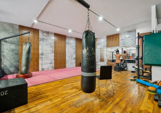 Commercial Condo for Sale - 2127 Rue Bélanger, Montreal (Villeray), H2G 1C3