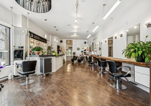 Commercial Condo for Sale - 1036 Rue Ontario Est, Montreal (Ville-Marie), H2L 1P9