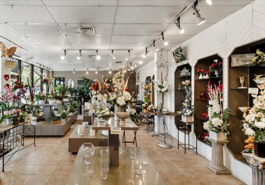 Propriété commerciale à vendre - 9330  Boul. Lacordaire, Montréal (Saint-Léonard), H1R 2B7