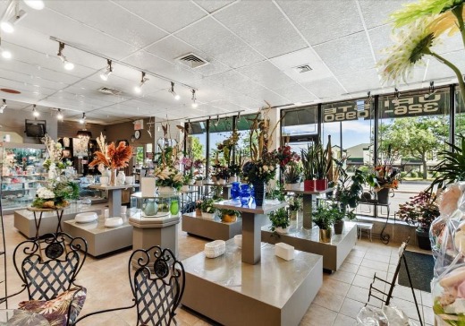 Propriété commerciale à vendre - 9330  Boul. Lacordaire, Montréal (Saint-Léonard), H1R 2B7