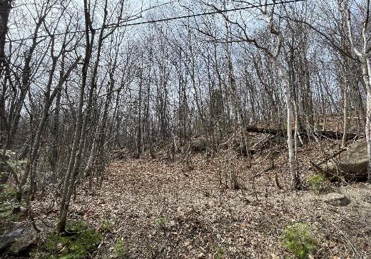 Land for Sale -  Ch. Forest Hill, St-Adolphe d'Howard, J0T 2B0