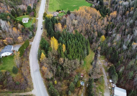 Land for Sale -  Rang Saint-Joseph  ( terrain situé entre le 42 et 48), St-Fulgence, G0V 1S0