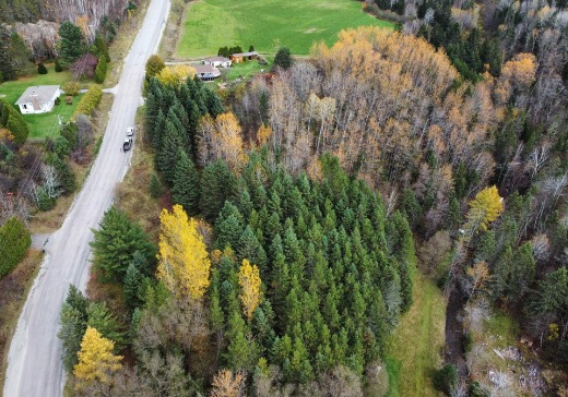 Terrain à vendre -  Rang Saint-Joseph  ( terrain situé entre le 42 et 48), St-Fulgence, G0V 1S0