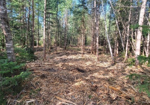 Terrain à vendre -  Ch. des Hirondelles, Lac Superieur, J0T1J0
