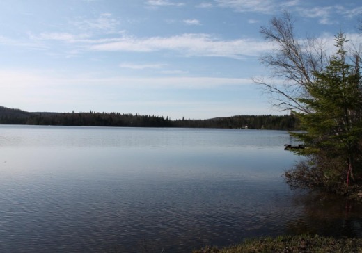 Terrain à vendre -  Ch. des Hirondelles, Lac Superieur, J0T 1J0
