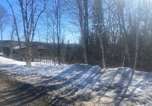 Land for Sale -  Allée du 5e, Mont-Blanc, J0T 2G0