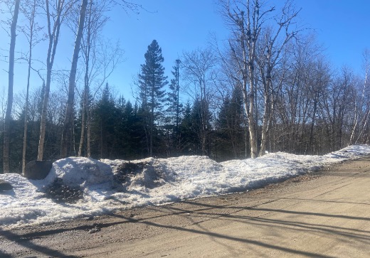 Land for Sale -  Allée du 5e, Mont-Blanc, J0T 2G0