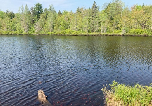 Land for Sale - 210 rue des Érables, St-Alphonse-Rodriguez, J0K 1W0