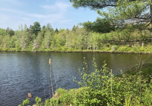 Land for Sale - 210 rue des Érables, St-Alphonse-Rodriguez, J0K 1W0