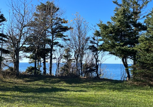 Terrain à vendre - 0000 Rte Bellevue Est, Les Mechins, G1J 1T0