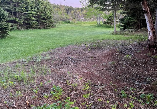 Terrain à vendre - 0000 Rte Bellevue Est, Les Mechins, G1J 1T0
