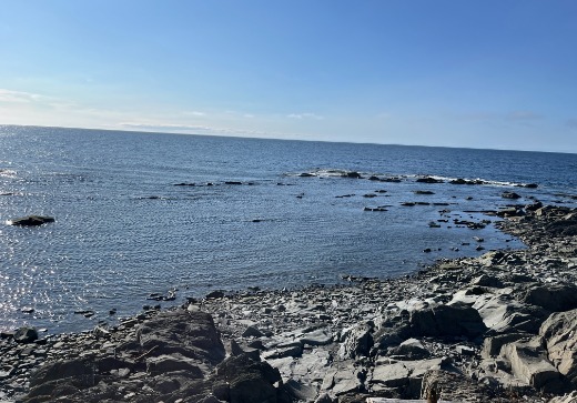 Terrain à vendre - 0000 Rte Bellevue Est, Les Mechins, G1J 1T0