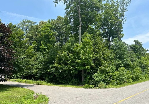 Terrain à vendre -  rue des Gentianes, Sainte-Sophie, J5J 2X3