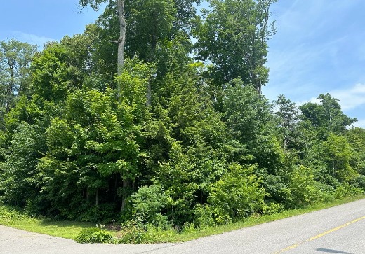 Terrain à vendre -  rue des Gentianes, Sainte-Sophie, J5J 2X3