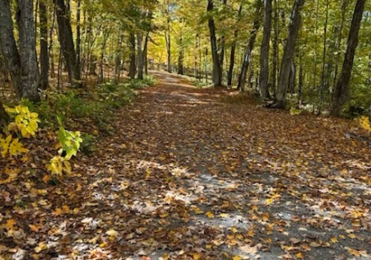 Land for Sale -  mtee du lac gravel, Mont St-Michel, 