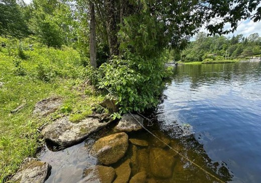 Land for Sale -  Ch. du Domaine-Morin, Ferme-neuve, 