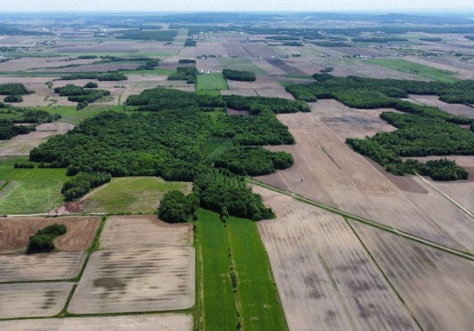 Terrain à vendre -  Rang St-Hyacinthe, Mirabel, J7N2Z9