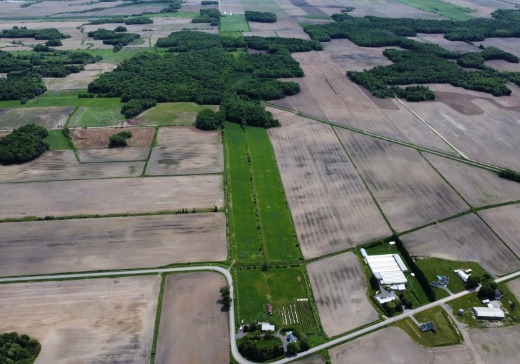 Terrain à vendre -  Rang St-Hyacinthe, Mirabel, J7N 2Z9