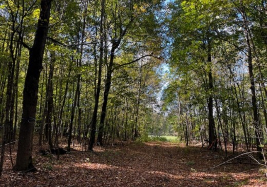 Terrain à vendre -  Rang St-Hyacinthe, Mirabel, J7N 2Z9