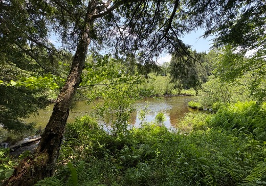 Land for sale -  Chemin Riley, Saint-Étienne-de-Bolton, J0E2E0