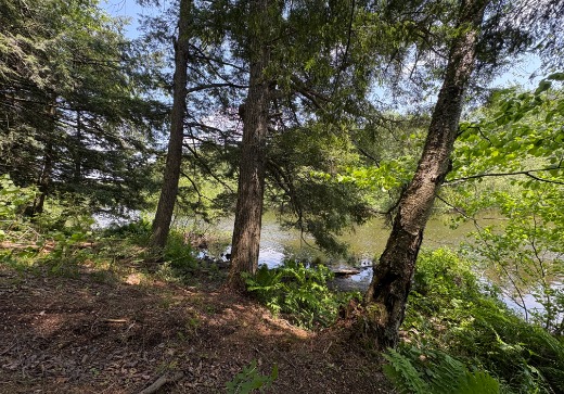 Land for Sale -  Chemin Riley, Saint-Étienne-de-Bolton, J0E 2E0