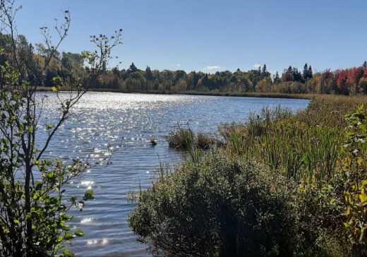 Land for Sale - 235 Rang 4 est, Saint-Anaclet-de-Lessard, G0K 1H0