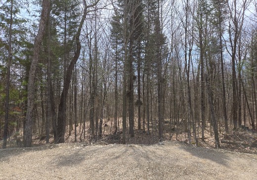 Land for Sale -  3e Avenue St-Vincent, Sainte-Béatrix, J0K 1Y0