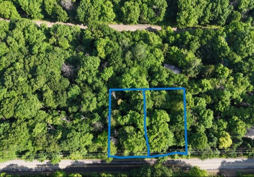 Land for Sale -  Ch. du Domaine, Saint-Adolphe-d'Howard, J0T 1B0