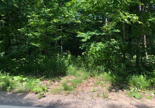 Land for Sale -  Ch. du Domaine, Saint-Adolphe-d'Howard, J0T 1B0