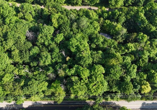 Land for Sale -  Ch. du Domaine, Saint-Adolphe-d'Howard, J0T 1B0