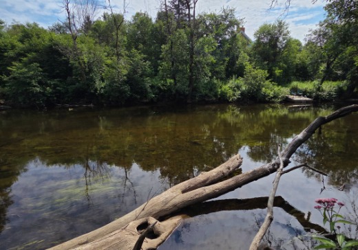 Terrain à vendre - 895 chemin Maskinongé, Boileau, J0V 1N0