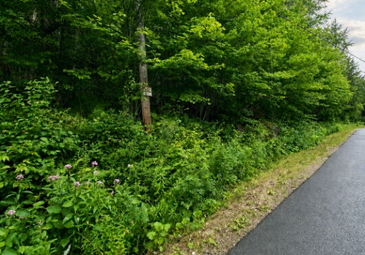 Terrain à vendre - 895 chemin Maskinongé, Boileau, J0V 1N0