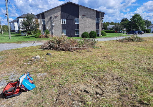 Land for Sale - 5 5eme avenue, Weedon, J0B 3J0