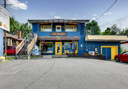 Duplex à vendre Grandes-Piles - 560ax