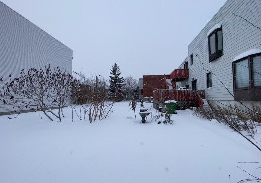 Triplex à vendre - 6895-6897 Hochelaga, Montréal (Mercier/Hochelaga-Maisonneuve), H1N 1Y5