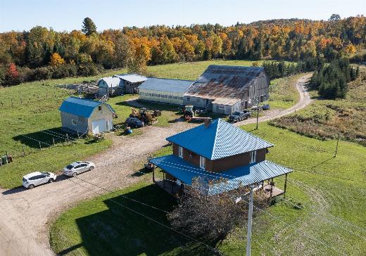fermette à vendre Mont-Laurier - 595o