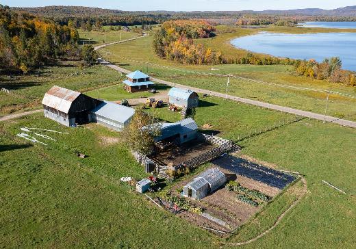 fermette à vendre Mont-Laurier - 595o