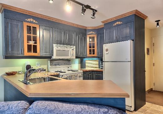 condo à vendre La Baie - 100cl