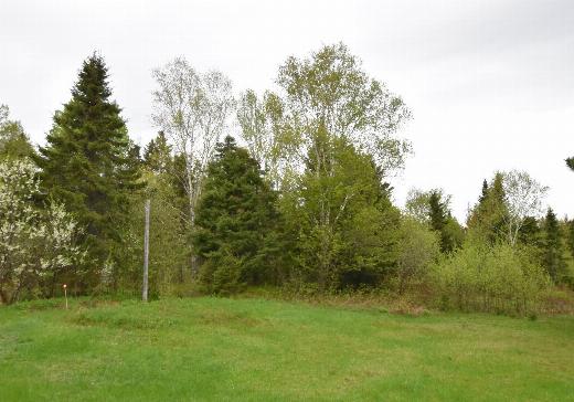 Two or more stories for sale Trois-Pistoles - 401ag