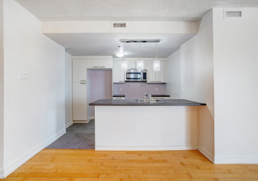 Condo for sale - 10011 apt. 1010, Boul. Pie-IX, Montreal-North, H2S 2M5