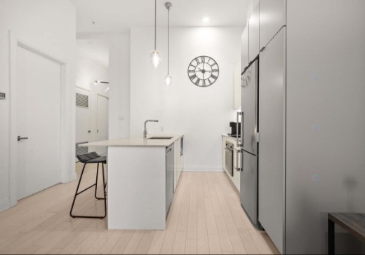Condo à vendre - 1788 app. 203, rue Joseph-Manseau, Montréal (Ville-Marie), H3H0A9