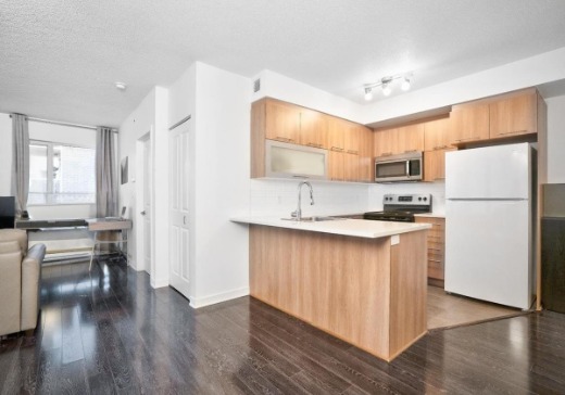 Condo à vendre - 1248 app. 228, avenue de l'Hôtel-de-Ville, Montréal (Ville-Marie), H2X3A9