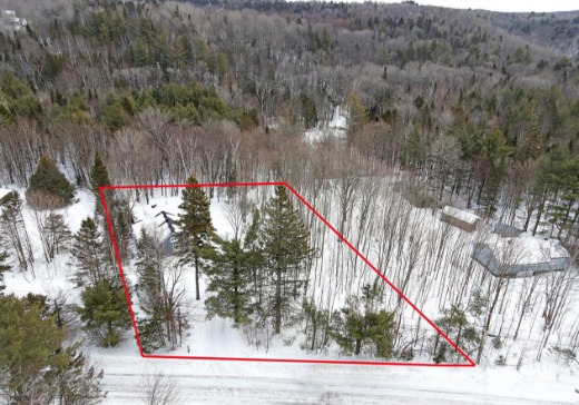 Maison à étages à vendre - 450  Ch. du Lac-Deligny Est, Mandeville, J0K1L0