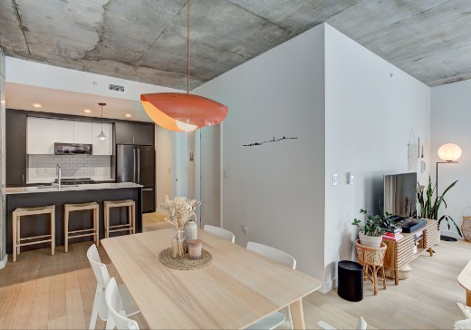 Condo à vendre - 3155 Av. Parkville, Montréal (Mercier/Hochelaga-Maisonneuve), H1N 0E7
