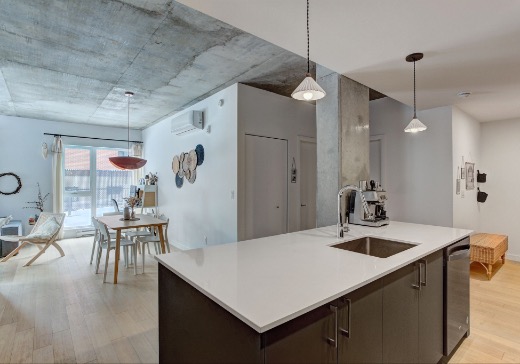 Condo for sale - 3155 Av. Parkville, Montreal (Mercier/Hochelaga-Maisonneuve), H1N 0E7